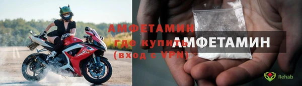 шишки Чита