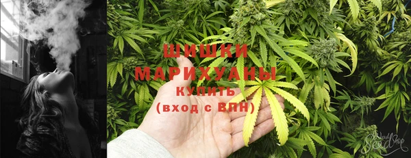 spice Липки