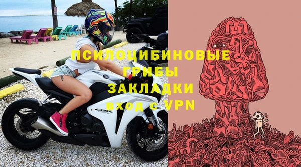 spice Липки
