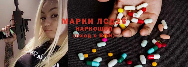 ECSTASY Богданович