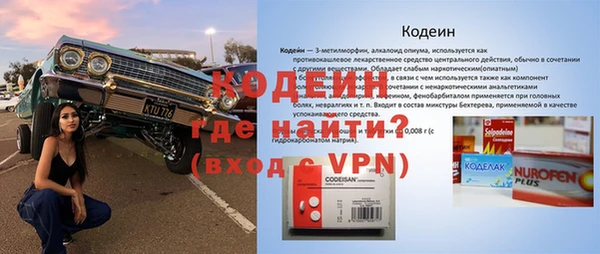 амф Верея