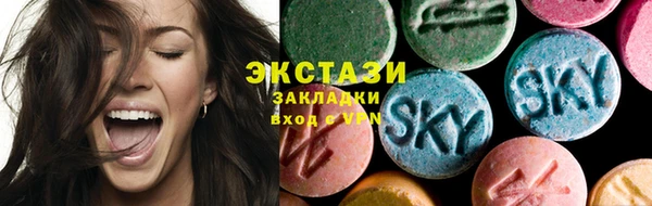 ECSTASY Богданович