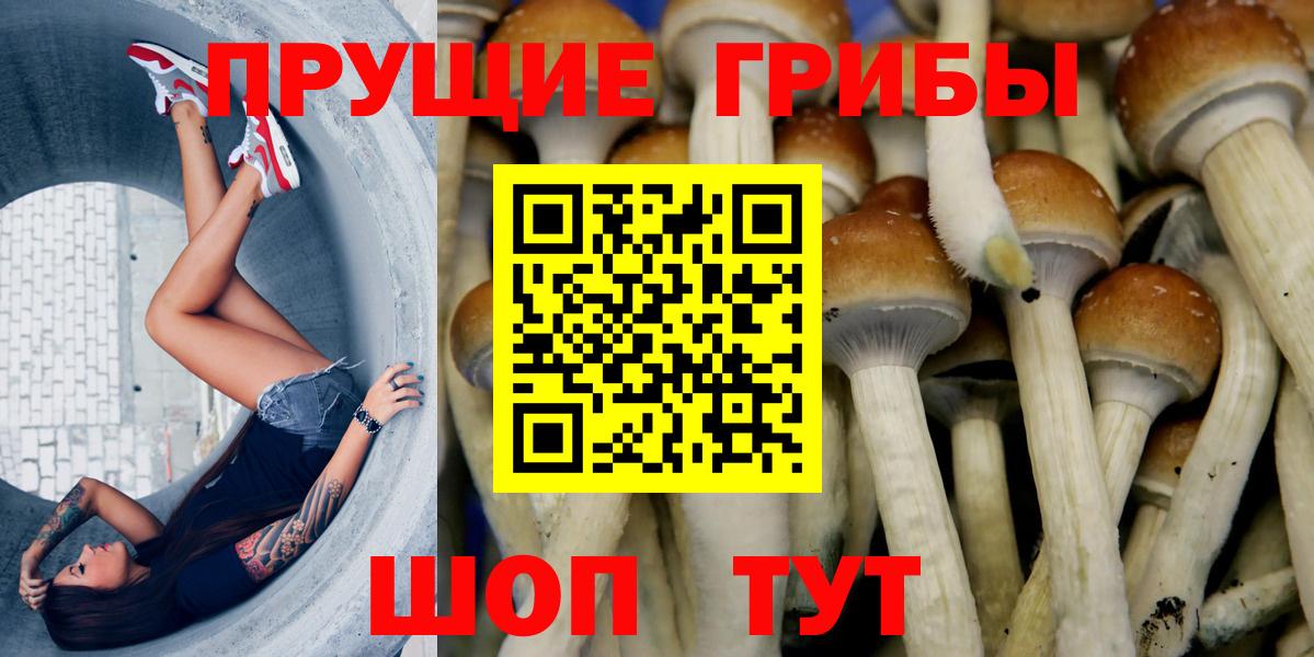 Псилоцибиновые грибы Magic Shrooms  Уфа 